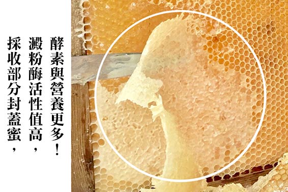 100%玉荷包荔枝結晶蜂蜜