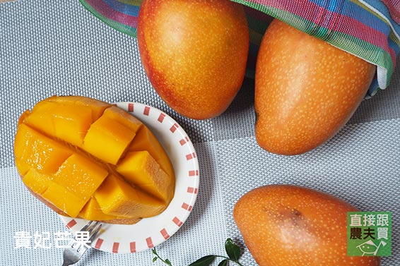 夏雪X貴妃芒果雙饗盒