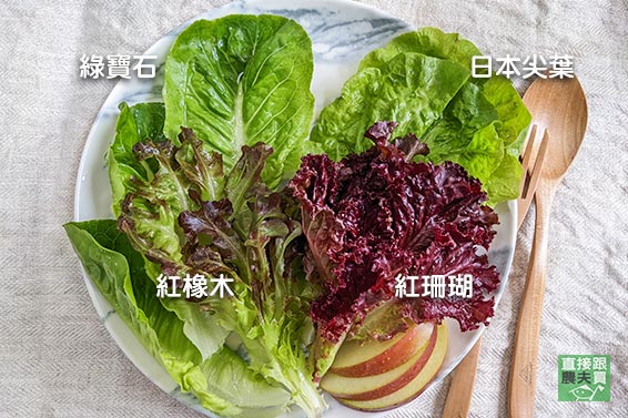 清甜脆嫩 有機綜合生菜