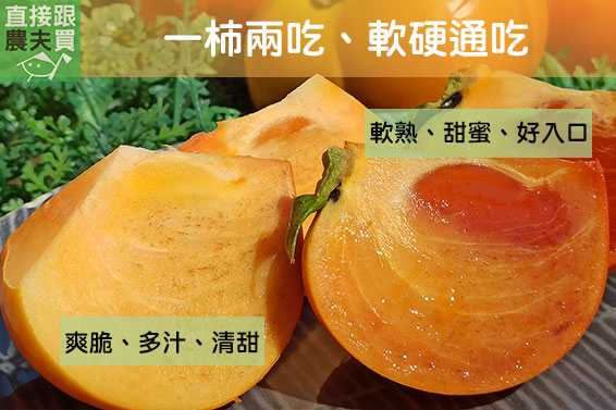 私房產區！烏石坑時令甜柿（禮盒版）