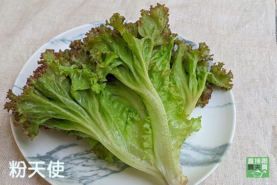清甜脆嫩 有機綜合生菜