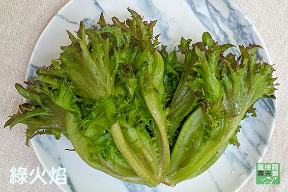 清甜脆嫩 有機綜合生菜