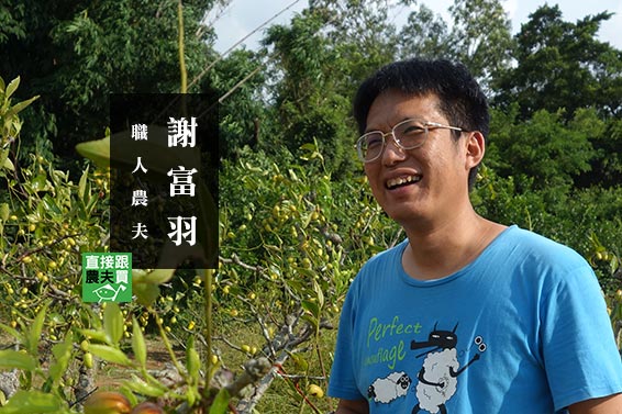 大地共榮六禮 禮盒
