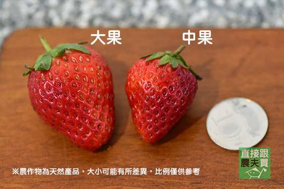 濃郁花果調 有機轉紅顏草莓