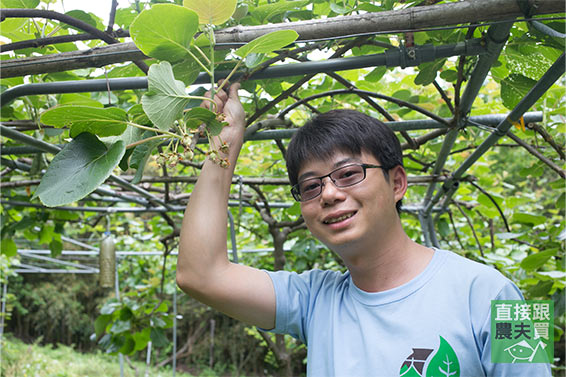 【自己吃】台灣大挺農！養自己的奇異果樹