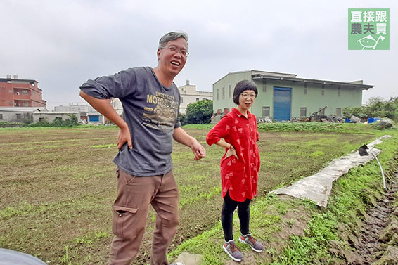 戀念奶香！草莓提拉米蘇寶盒