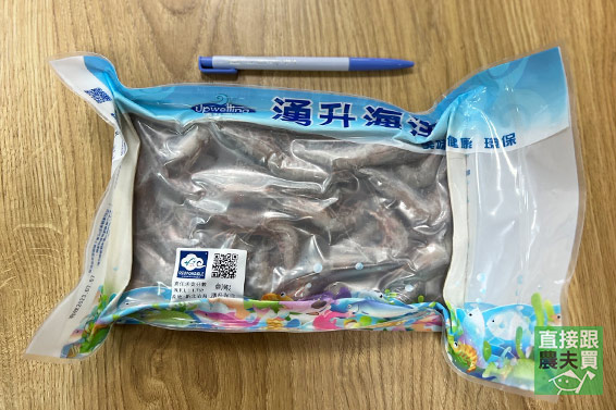 永續海洋 澎湖野生黑劍蝦