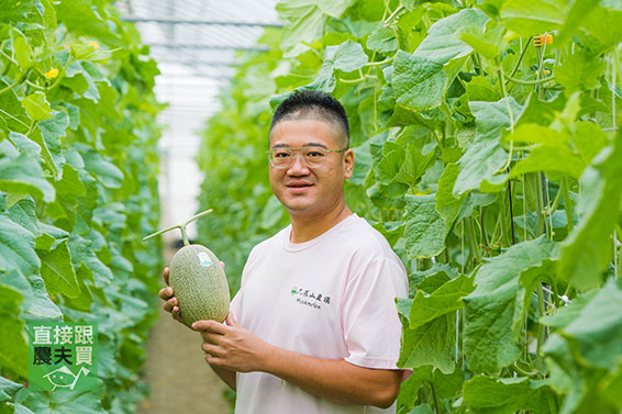 焦糖香氣 精品極光哈密瓜