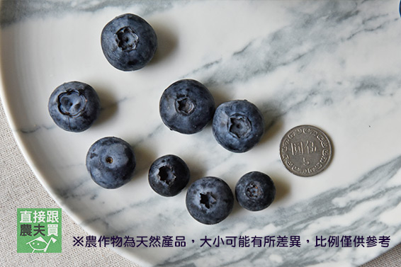 酸甜爆漿！台灣手採有機轉藍莓