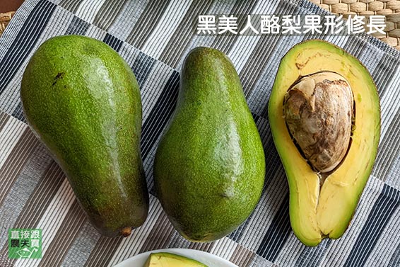 水嫩柔潤 時令無農藥酪梨