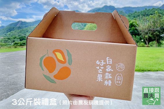 堊土造就品質 南化草生愛文芒果