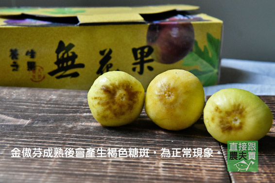 匠人級雙品無花果！金傲芬+波姬紅(無農藥)