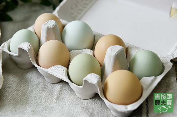 50%國產雜糧飼養 頂級放牧烏骨雞蛋