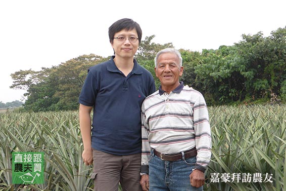 悠遊有柚！金萱柚子酥 / 草莓鳳梨酥