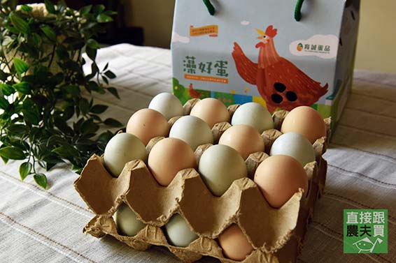 50%國產雜糧飼養 頂級放牧烏骨雞蛋