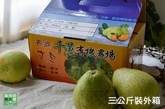 苗栗西湖 有機老欉文旦