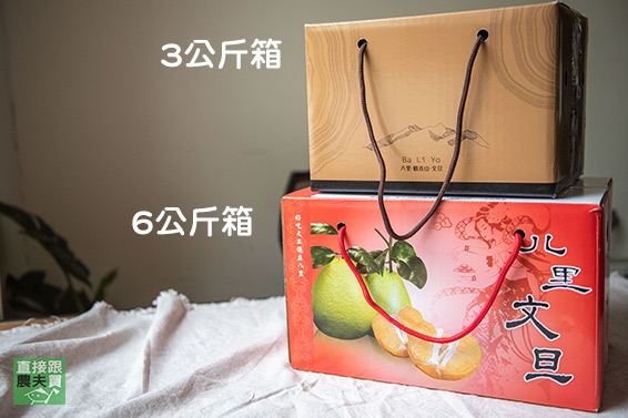 新北八里 老欉文旦