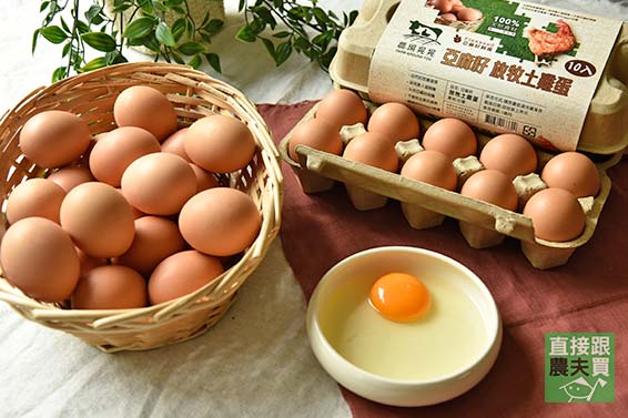 特製營養飼料 放牧土雞蛋