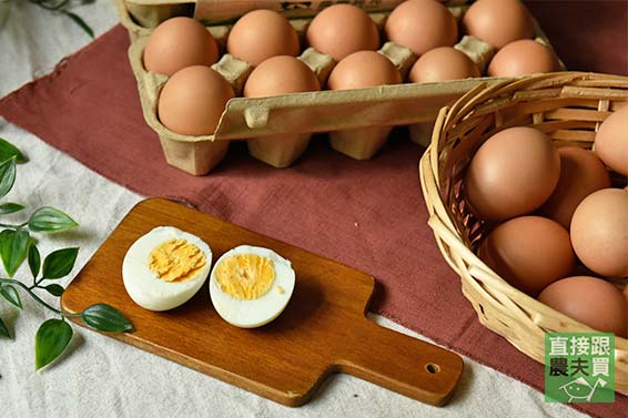 特製營養飼料 放牧土雞蛋