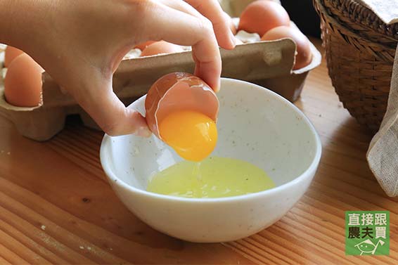 無抗生素飼養 頂級放牧土雞蛋