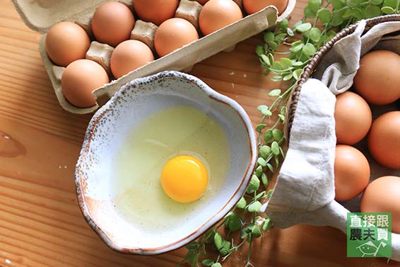 無抗生素飼養  頂級放牧土雞蛋