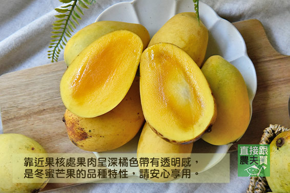 香甜Q彈 冬蜜芒果