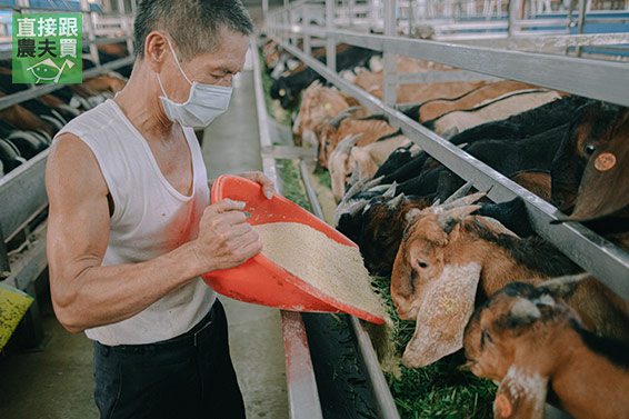 安心無添加！西洋蔘藥膳羊肉爐