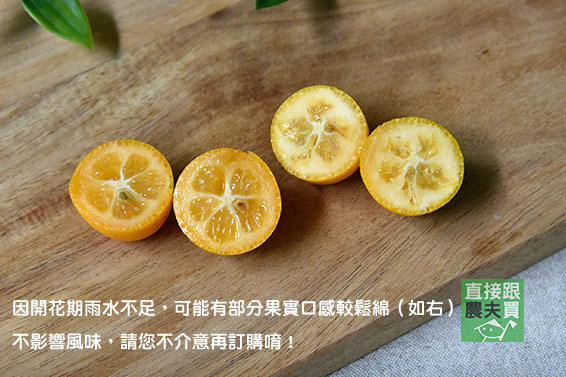 爽口回甘 有機宜蘭金棗（金柑）