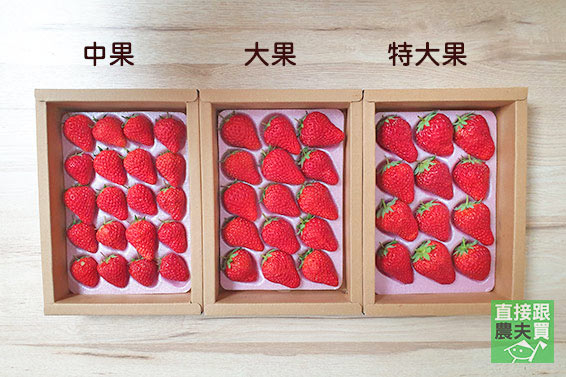 高雅葡萄香！日系紅顏草莓