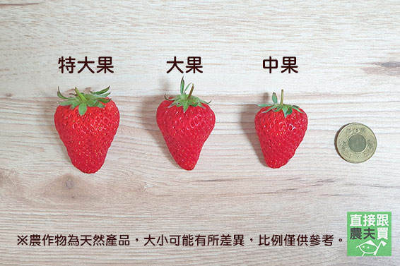 高雅葡萄香！日系紅顏草莓