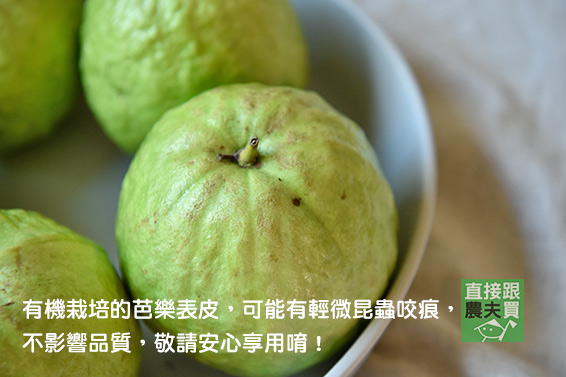 清香脆口 有機帝王芭樂