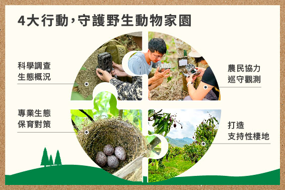 生態調查專案♥️與玥騰一起為動物朋友打造永續家園