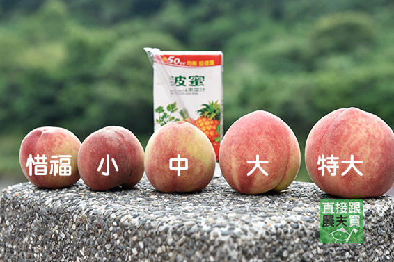 籽小皮薄！尖石老品種水蜜桃(無農藥)(惜福版)
