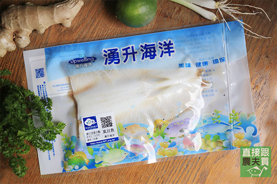 與野鳥共存 淺坪養殖無刺虱目魚肚