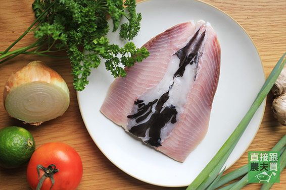 與野鳥共存 淺坪養殖無刺虱目魚肚