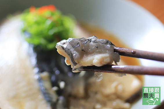 與野鳥共存 淺坪養殖無刺虱目魚肚