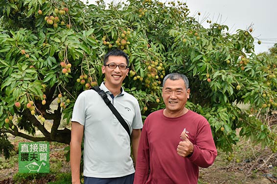 迷人胭脂香 高雄大樹荔后荔枝