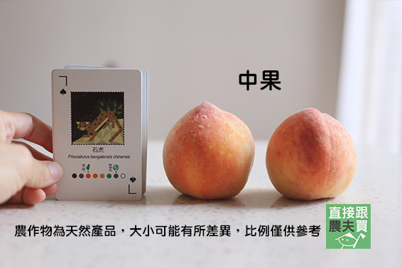 熱帶果香 摩天嶺黃金水蜜桃(紅金)