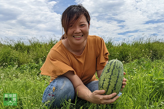 灣寶名產！無農藥甜美人西瓜