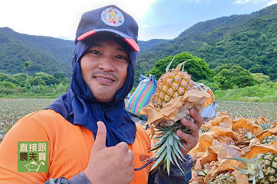 一餐恰恰好！有機五目金鑽鳳梨