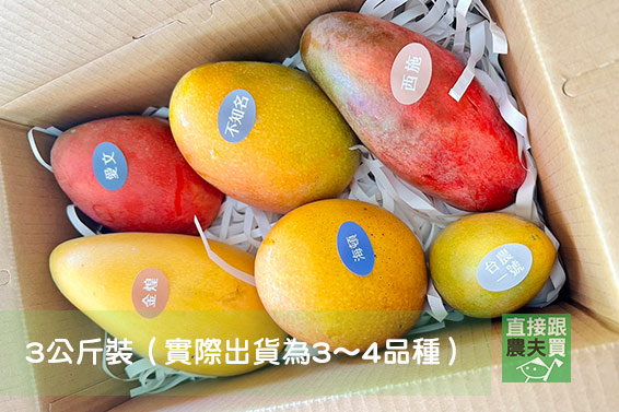 有野兔芒果園之 綜合離奇芒果箱
