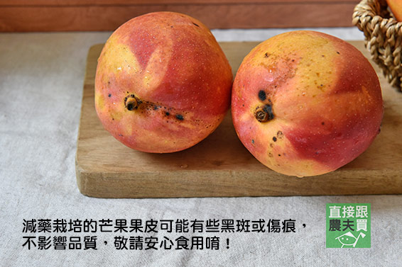 芒果界香奈兒！草生蜜雪芒果