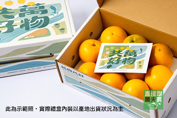 萬物共好 棉花糖金品黃金果禮盒