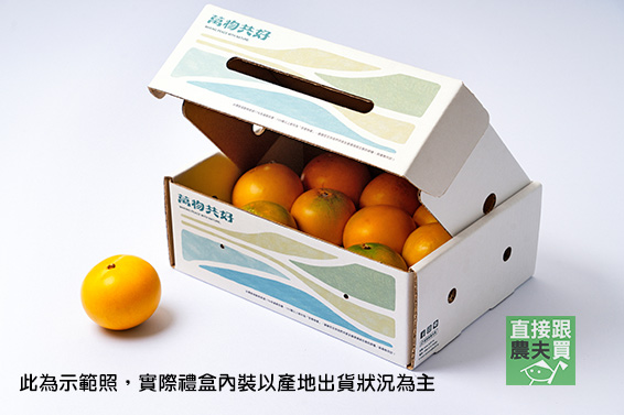 萬物共好 棉花糖金品黃金果禮盒