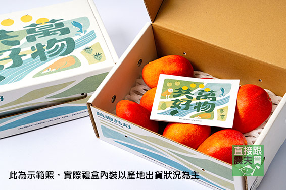 萬物共好 南化草生愛文芒果禮盒