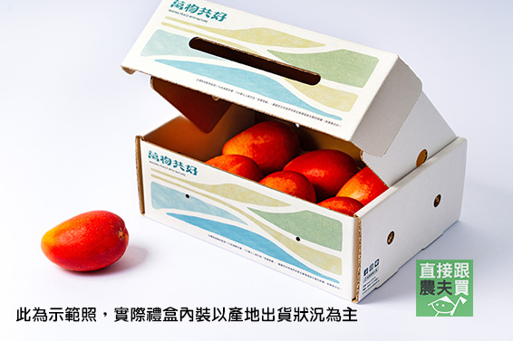 萬物共好 南化草生愛文芒果禮盒