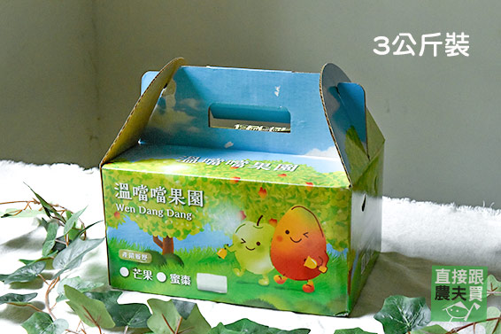 紅潤太陽果！草生玉井愛文芒果