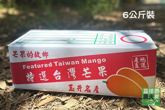 紅潤太陽果！草生玉井愛文芒果