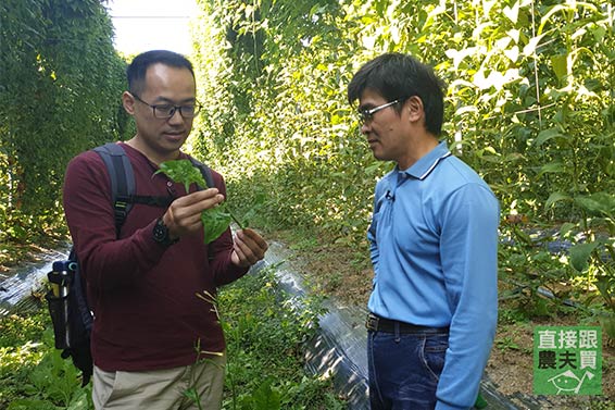 無燻硫！安心有機枸杞