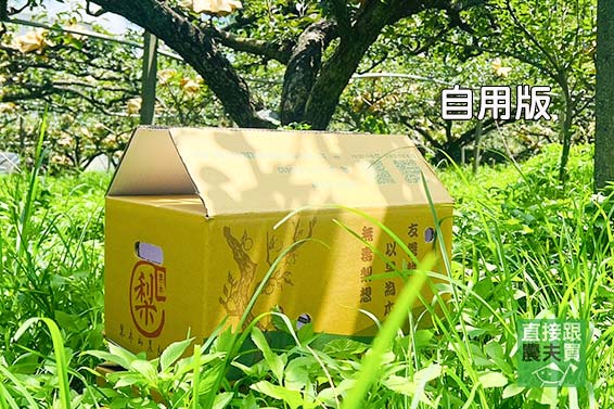 精品級！柔嫩細緻豐水梨